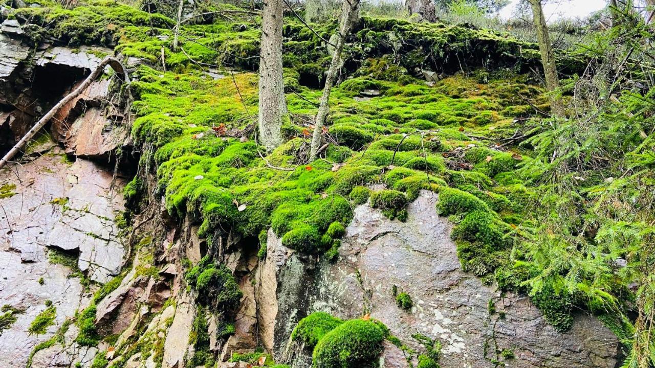 Chalupa U Bohumila Rybna nad Zdobnici Exterior foto